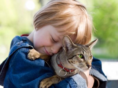 ¿Tienes un amigo gatuno en casa? ¡Entonces conoce cuáles son las enfermedades que se pueden transmitir a los humanos y cómo prevenirlas!